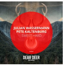 Julian Wassermann and Pete Kaltenburg - Sweet Hard