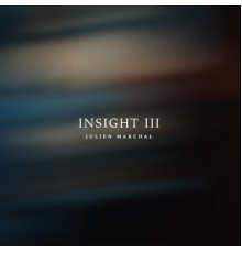 Julien Marchal - INSIGHT III