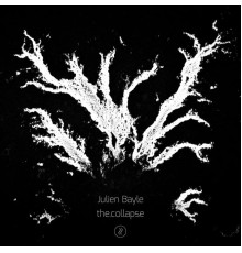 Julien bayle - The.collapse