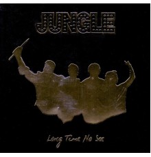 Jungle - Long Time No See