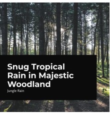 Jungle Rain - Snug Tropical Rain in Majestic Woodland