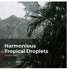 Jungle Rain, Nature and Rain, Deep Rain Sampling - Harmonious Tropical Droplets
