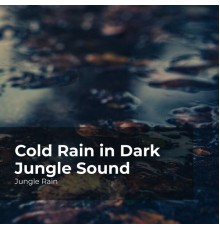 Jungle Rain, Nature and Rain, Deep Rain Sampling - Cold Rain in Dark Jungle Sound