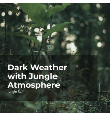 Jungle Rain, Nature and Rain, Deep Rain Sampling - Dark Weather with Jungle Atmosphere