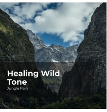 Jungle Rain, Nature and Rain, Deep Rain Sampling - Healing Wild Tone