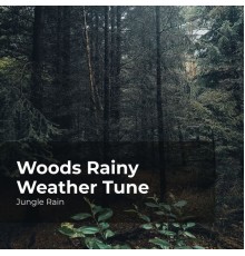 Jungle Rain, Nature and Rain, Deep Rain Sampling - Woods Rainy Weather Tune