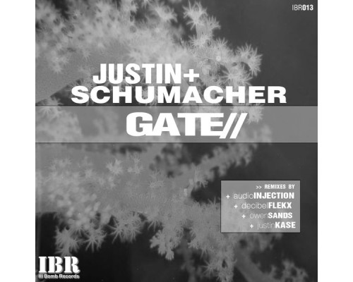 Justin Schumacher - Gate