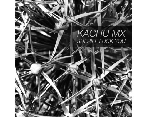 Kachu Mx - Sheriff Fuck You