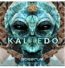 Kalaedo - Observe