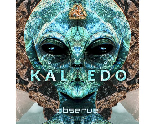 Kalaedo - Observe