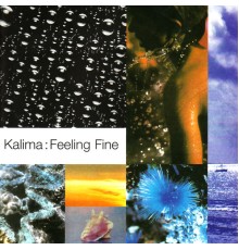 Kalima - Feeling Fine