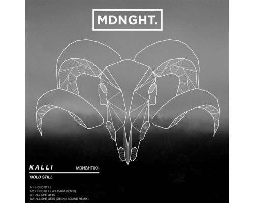 Kalli - Hold Still