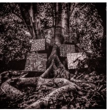 Kamasi Washington - Harmony of Difference