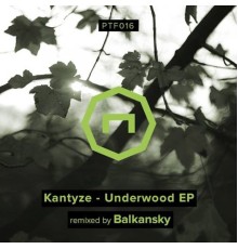 Kantyze - Underwood EP