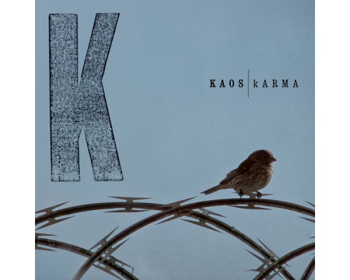 Kaos - kARMA