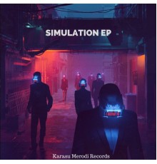 Karasu Merodi - Simulation