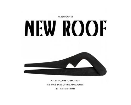 Karen Gwyer - New Roof