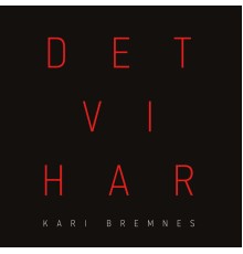 Kari Bremnes - Det vi har