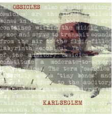 Karl Seglem - Ossicles