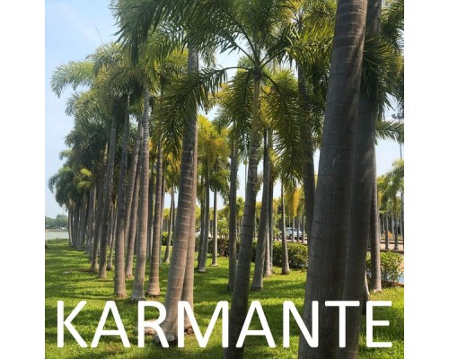 Karmante - Karmante