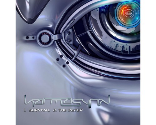 KarmasynK - Survival / The Instep