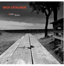 Karton - Back catalogue