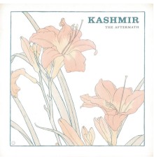 Kashmir - The Aftermath