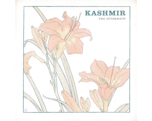 Kashmir - The Aftermath