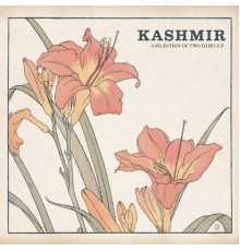 Kashmir - Rocket Brothers (Album Version)