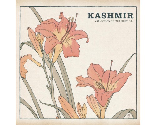 Kashmir - Rocket Brothers (Album Version)