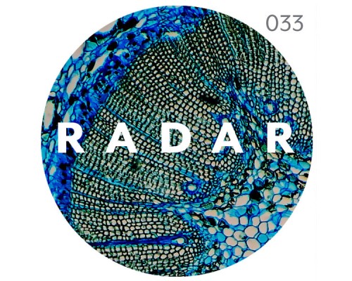 Kayla Painter - Radar