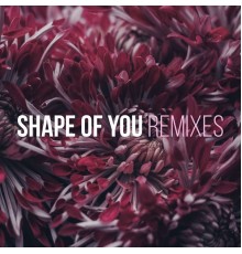 Kaysha - Shape of You (Remixes)