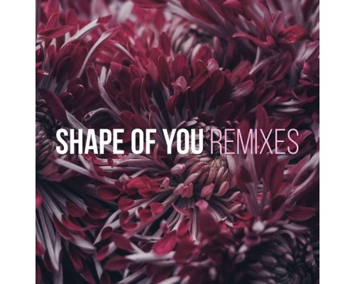 Kaysha - Shape of You (Remixes)