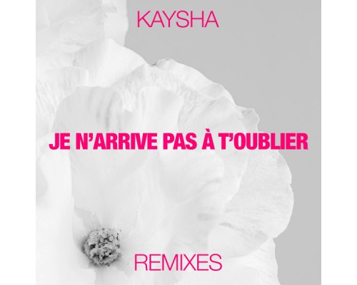 Kaysha - Je n'arrive pas à t'oublier