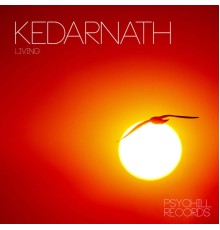 Kedarnath - Living