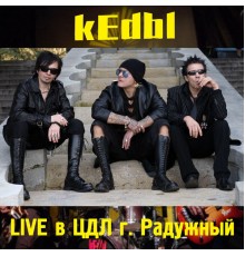 Kedbi - "TSDL" (g. Raduzhnyy)  (Live)