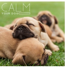 Kenny Bern, Yoanna Sky, Victor Sommers, Marco Rinaldo - Calm Your Dog: Lullaby for Pets Soft Animal Sleep Music