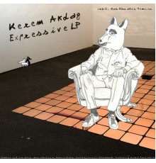 Kerem Akdag - Expressive LP