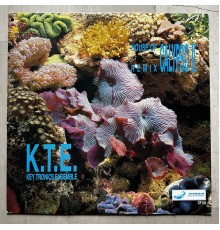 Key Tronics Ensemble - Calypso Of House