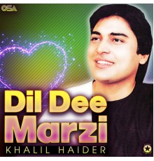 Khalil Haider - Dil Dee Marzi