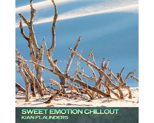 Kian Flaunders - Sweet Emotion Chillout