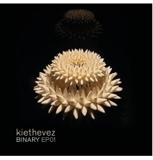 Kiethevez - Binary