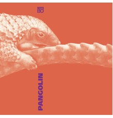 Kimbo - Pangolin