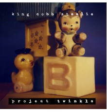 King Cobb Steelie - Project Twinkle