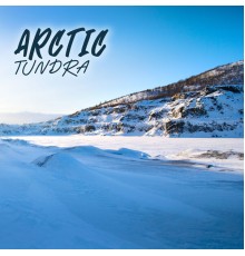 Kings of Nature - Arctic Tundra