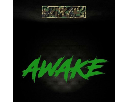 Kipgang - Awake