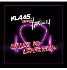 Klaas & Haddaway - What Is Love 2K9