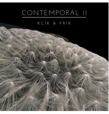 Klik & Frik - Contemporal II