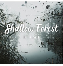 Klims - Shallow Forest