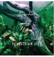 Knowhere - Pedestrian Life